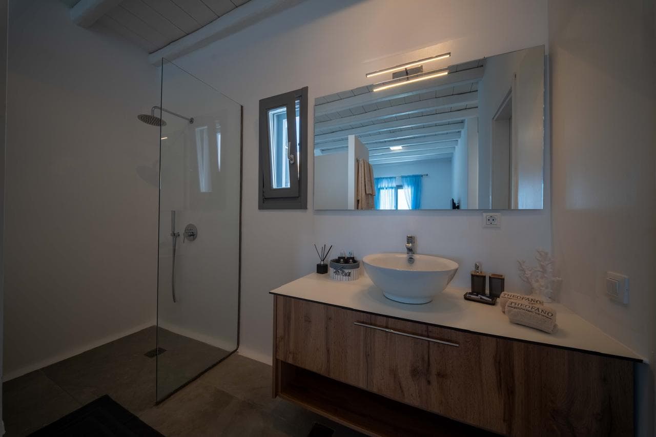 Bathroom vanity with walk-in rain shower